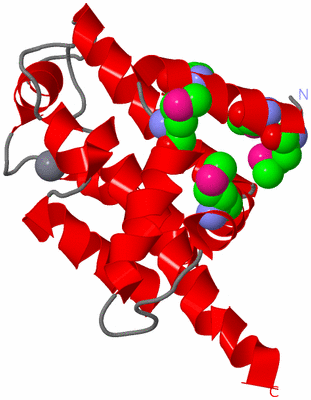 Image Asymmetric Unit