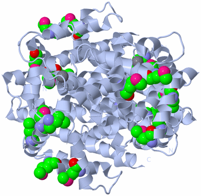 Image Biological Unit 1