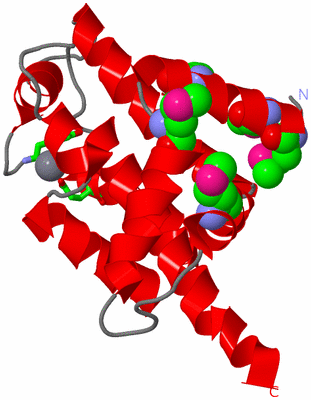 Image Asym. Unit - sites