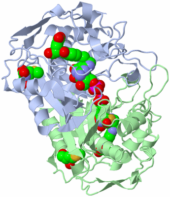 Image Asym./Biol. Unit