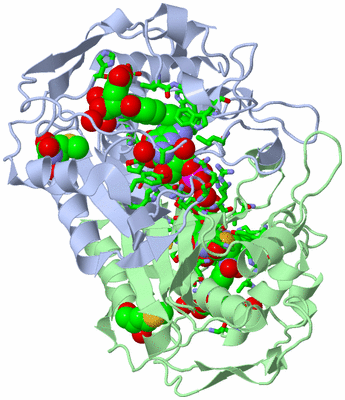 Image Asym./Biol. Unit - sites