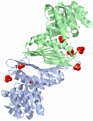 Image Asymmetric Unit
