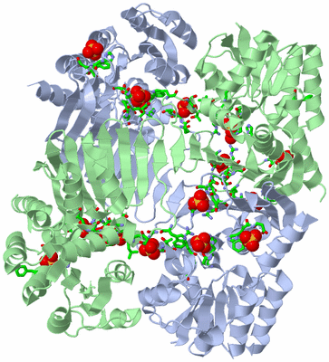 Image Biol. Unit 1 - sites