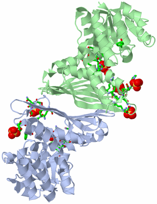 Image Asym. Unit - sites