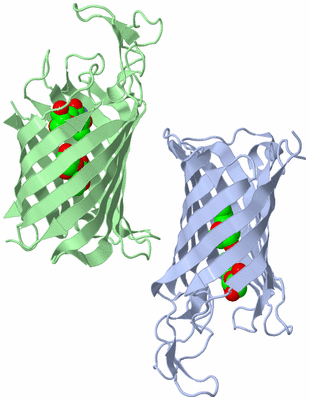 Image Asymmetric Unit