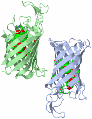 Image Asym. Unit - sites