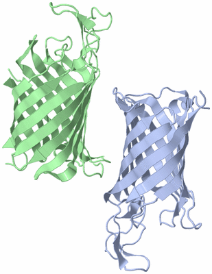 Image Asymmetric Unit