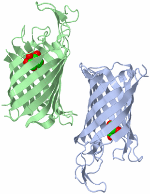 Image Asymmetric Unit