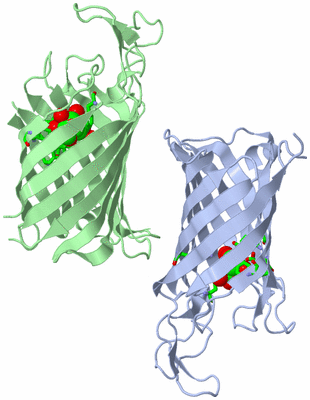 Image Asym. Unit - sites