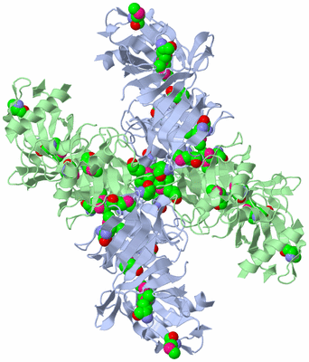 Image Biological Unit 2