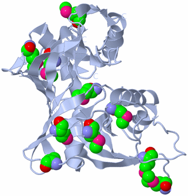 Image Biological Unit 3