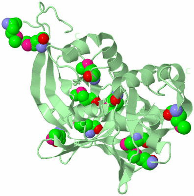 Image Biological Unit 4