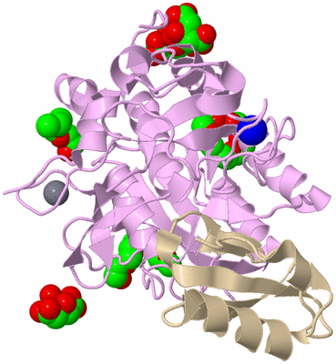 Image Biological Unit 1