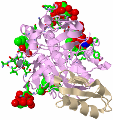 Image Biol. Unit 1 - sites