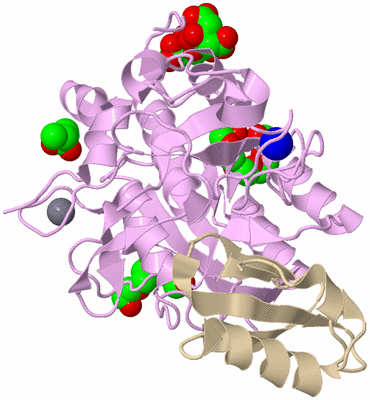 Image Biological Unit 1