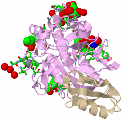 Image Biol. Unit 1 - sites