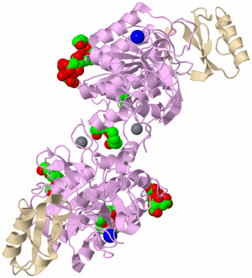 Image Biological Unit 2