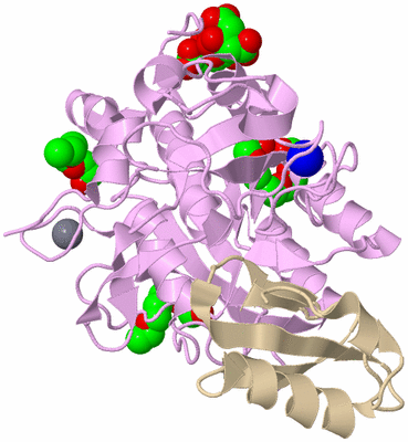 Image Biological Unit 1