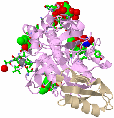 Image Biol. Unit 1 - sites