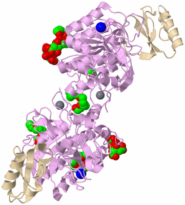 Image Biological Unit 2