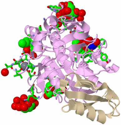 Image Biol. Unit 1 - sites