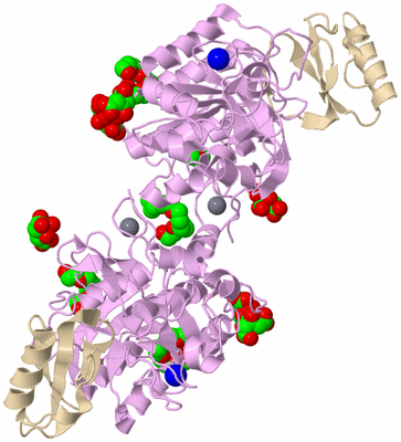 Image Biological Unit 2