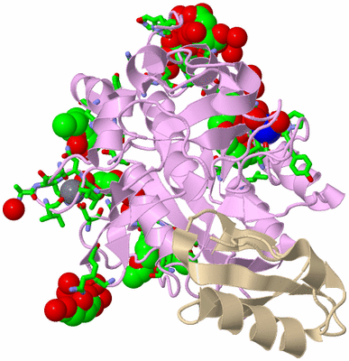 Image Biol. Unit 1 - sites