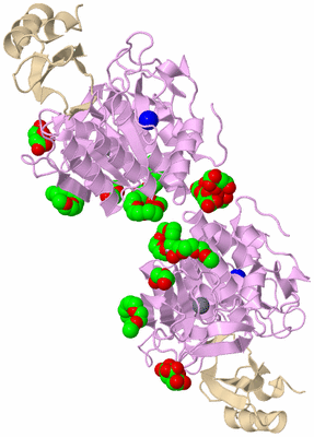 Image Biological Unit 3