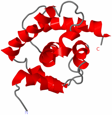 Image NMR Structure - model 1