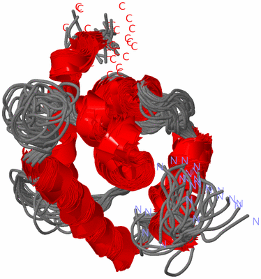 Image NMR Structure - all models