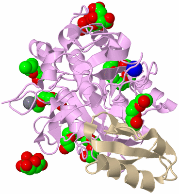 Image Asym./Biol. Unit