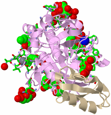 Image Asym./Biol. Unit - sites