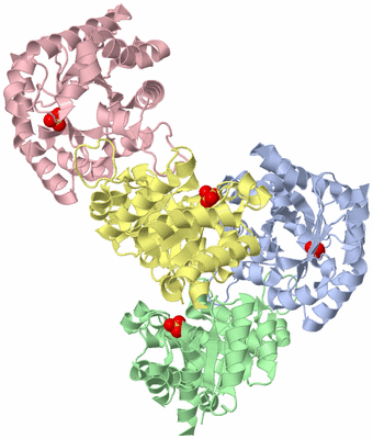 Image Asymmetric Unit