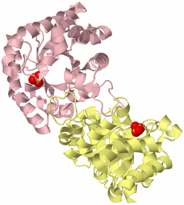 Image Biological Unit 2