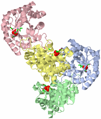 Image Asym. Unit - sites
