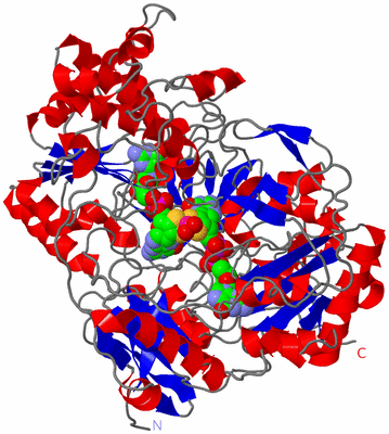 Image Asym./Biol. Unit