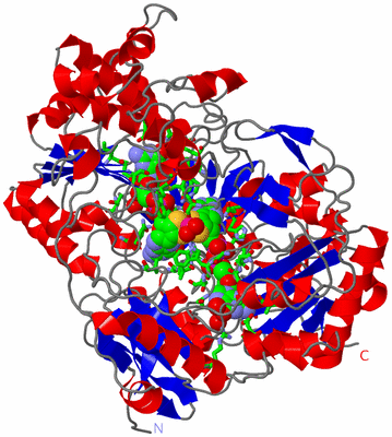 Image Asym./Biol. Unit - sites