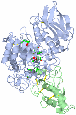 Image Asym./Biol. Unit - sites