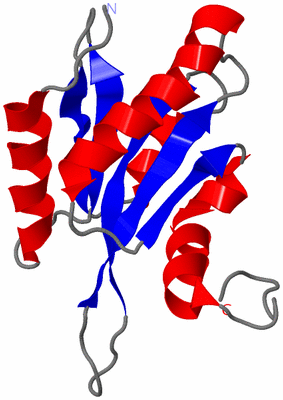 Image NMR Structure - model 1