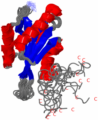 Image NMR Structure - all models