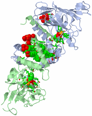 Image Asym./Biol. Unit - sites