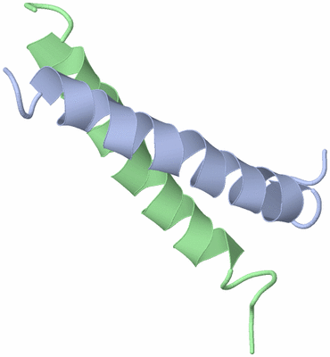 Image NMR Structure - model 1