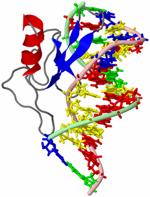 Image NMR Structure - model 1