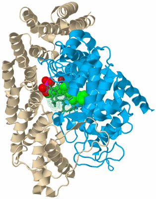 Image Biological Unit 5