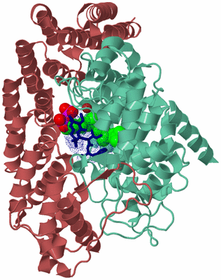 Image Biological Unit 6