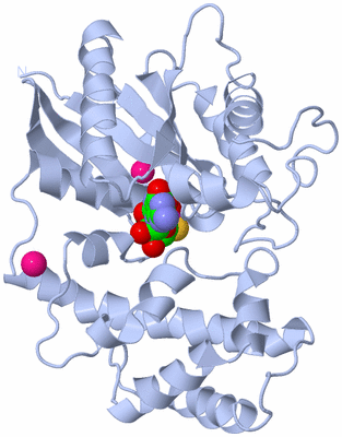 Image Biological Unit 1