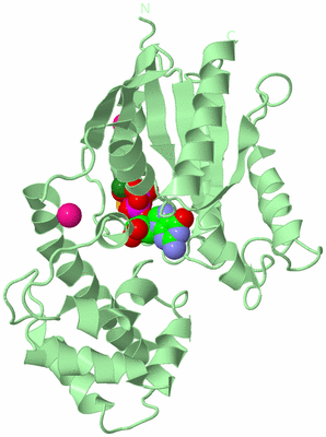 Image Biological Unit 2