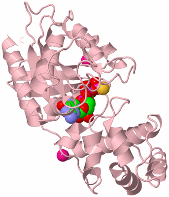 Image Biological Unit 3