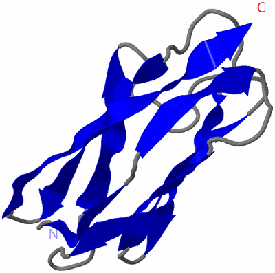 Image NMR Structure - model 1