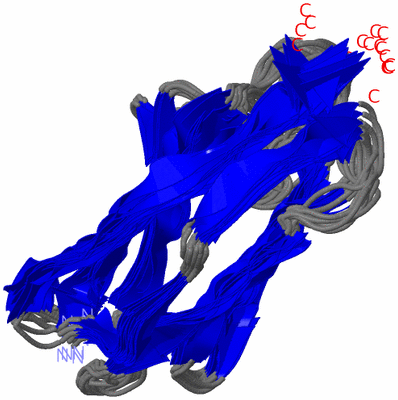 Image NMR Structure - all models